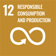 聯合國永續發展目標 12 - 責任消費與生產