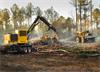 Tigercat® Industries Inc. forestry equipment