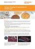 Application note:  Raman imaging of ingredients in bubble gum