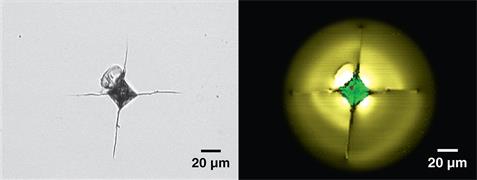 White light and Raman images of a silicon wafer indented with a diamond tip at high temperature and pressure